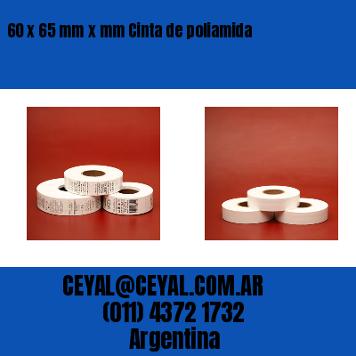 60 x 65 mm x mm Cinta de poliamida
