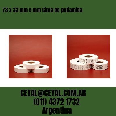 73 x 33 mm x mm Cinta de poliamida