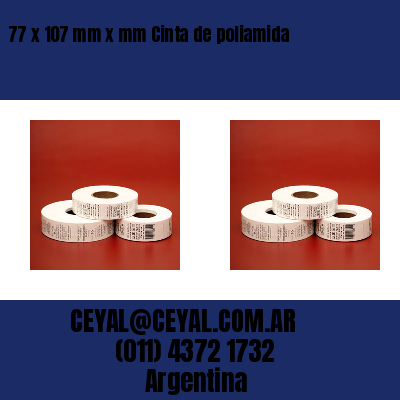 77 x 107 mm x mm Cinta de poliamida