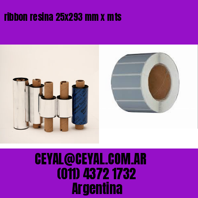 ribbon resina 25×293 mm x mts