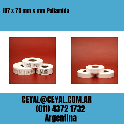 107 x 75 mm x mm Poliamida