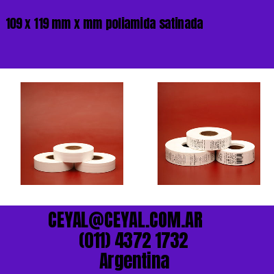 109 x 119 mm x mm poliamida satinada