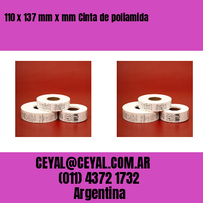 110 x 137 mm x mm Cinta de poliamida