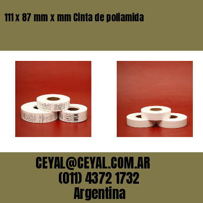 111 x 87 mm x mm Cinta de poliamida