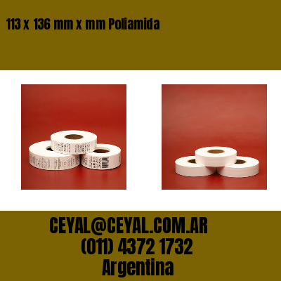 113 x 136 mm x mm Poliamida