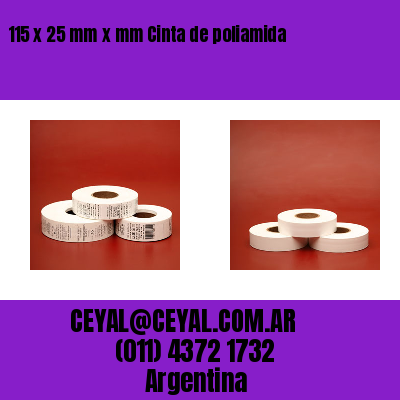 115 x 25 mm x mm Cinta de poliamida