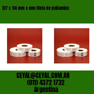 127 x 114 mm x mm Cinta de poliamida