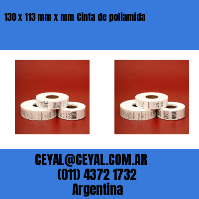 130 x 113 mm x mm Cinta de poliamida