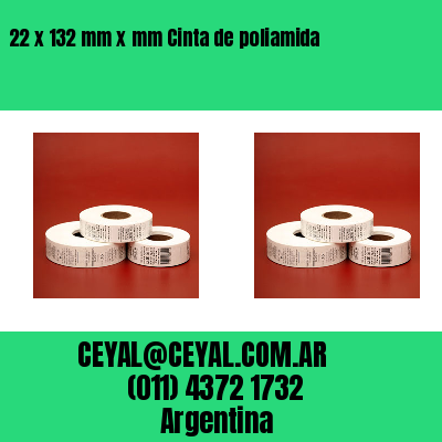 22 x 132 mm x mm Cinta de poliamida