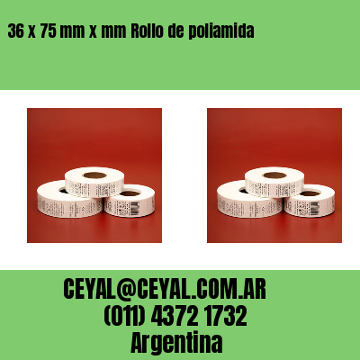 36 x 75 mm x mm Rollo de poliamida