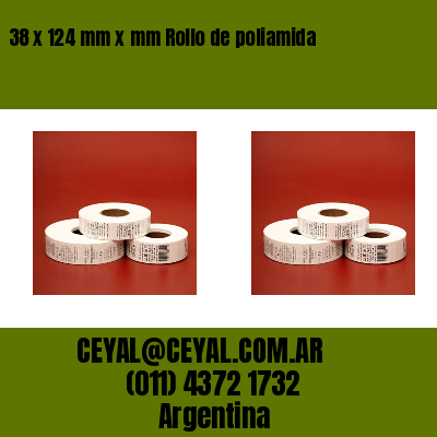 38 x 124 mm x mm Rollo de poliamida