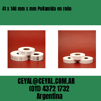 41 x 146 mm x mm Poliamida en rollo