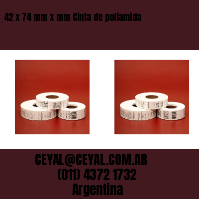 42 x 74 mm x mm Cinta de poliamida