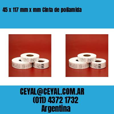 45 x 117 mm x mm Cinta de poliamida