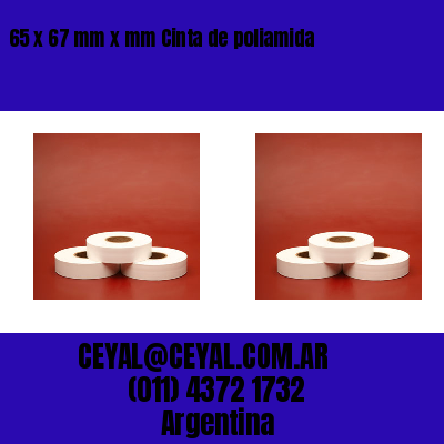 65 x 67 mm x mm Cinta de poliamida