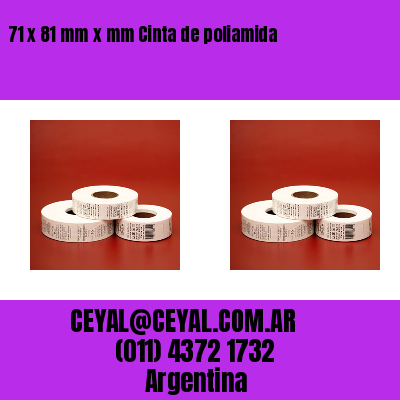 71 x 81 mm x mm Cinta de poliamida
