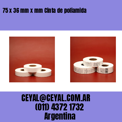 75 x 36 mm x mm Cinta de poliamida