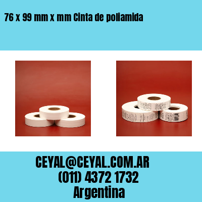 76 x 99 mm x mm Cinta de poliamida