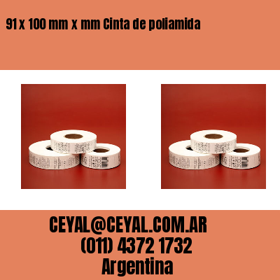 91 x 100 mm x mm Cinta de poliamida