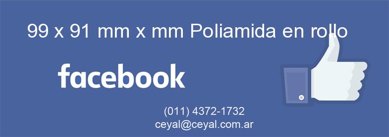 99 x 91 mm x mm Poliamida en rollo