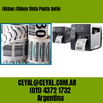 ribbon ribbon tinta Punta Indio