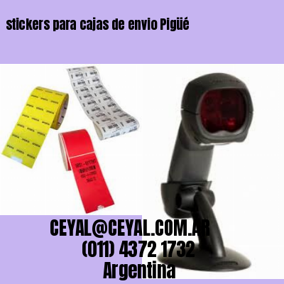 stickers para cajas de envio Pigüé