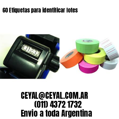 60 Etiquetas para identificar lotes