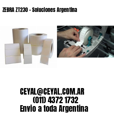 ZEBRA ZT230 – Soluciones Argentina