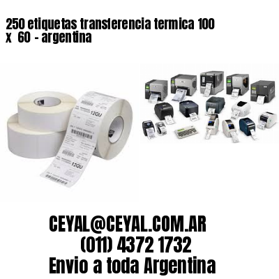 250 etiquetas transferencia termica 100 x  60	– argentina