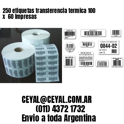 250 etiquetas transferencia termica 100 x  60 impresas