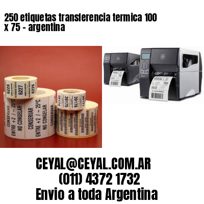 250 etiquetas transferencia termica 100 x 75	- argentina