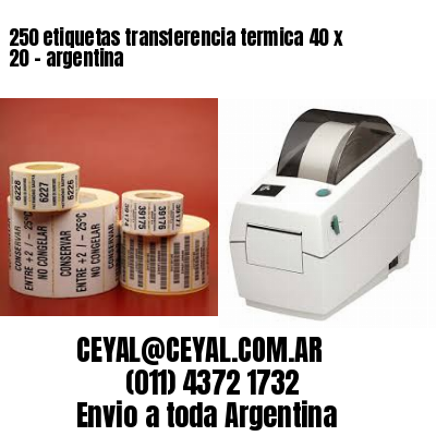 250 etiquetas transferencia termica 40 x 20	- argentina