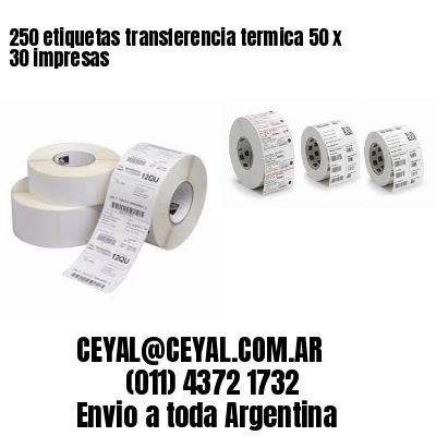 250 etiquetas transferencia termica 50 x 30 impresas