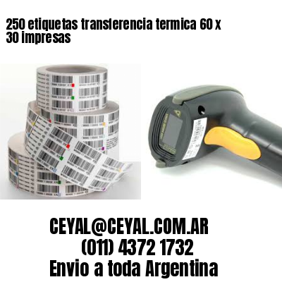 250 etiquetas transferencia termica 60 x 30 impresas