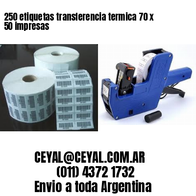 250 etiquetas transferencia termica 70 x 50 impresas