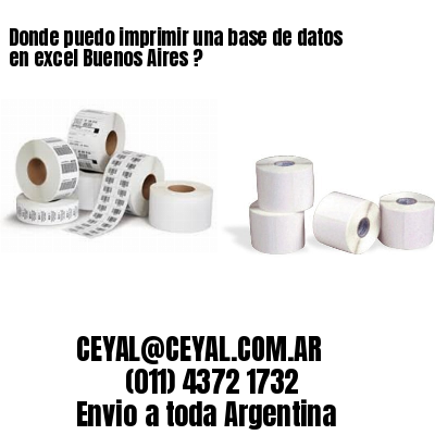 Donde puedo imprimir una base de datos en excel Buenos Aires ?