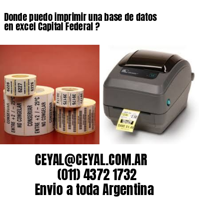 Donde puedo imprimir una base de datos en excel Capital Federal ?