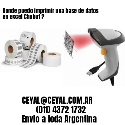 Donde puedo imprimir una base de datos en excel Chubut ?