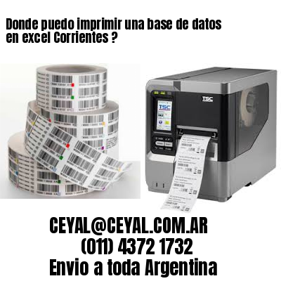 Donde puedo imprimir una base de datos en excel Corrientes ?