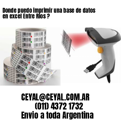 Donde puedo imprimir una base de datos en excel Entre Rios ?