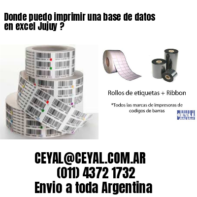 Donde puedo imprimir una base de datos en excel Jujuy ?