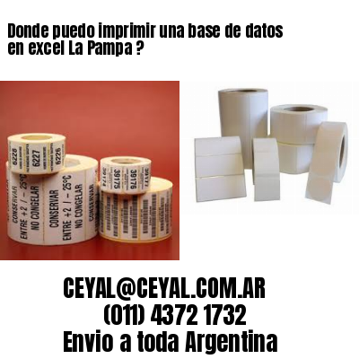 Donde puedo imprimir una base de datos en excel La Pampa ?