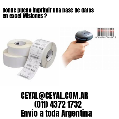 Donde puedo imprimir una base de datos en excel Misiones ?