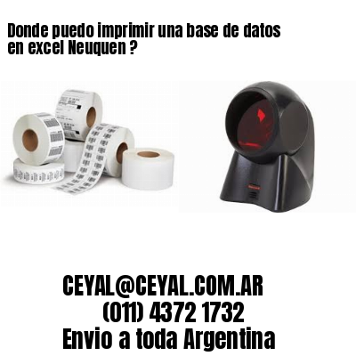 Donde puedo imprimir una base de datos en excel Neuquen ?