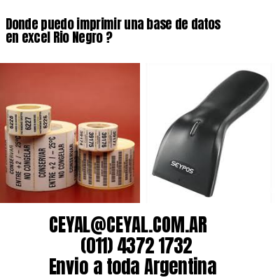 Donde puedo imprimir una base de datos en excel Rio Negro ?