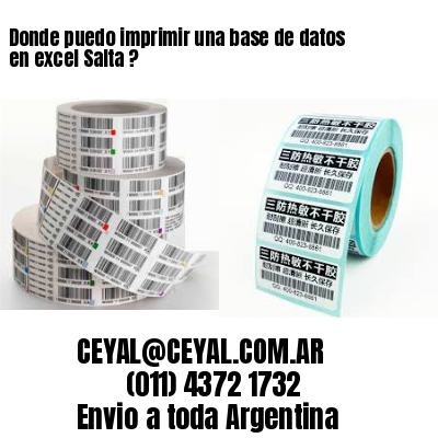 Donde puedo imprimir una base de datos en excel Salta ?