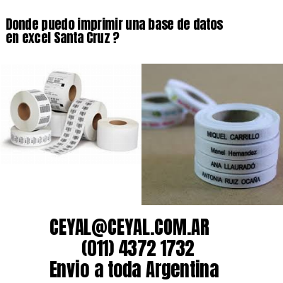Donde puedo imprimir una base de datos en excel Santa Cruz ?
