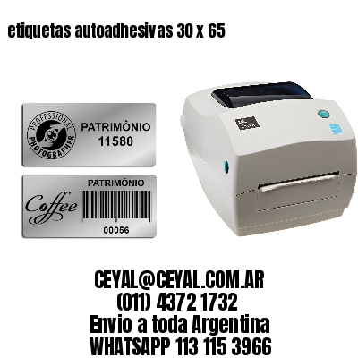 etiquetas autoadhesivas 30 x 65