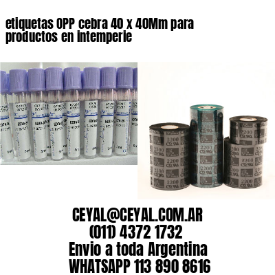 etiquetas OPP cebra 40 x 40Mm para productos en intemperie
