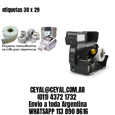 etiquetas 30 x 29